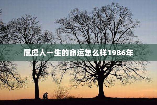 属虎人一生的命运怎么样1986年