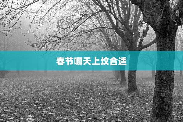春节哪天上坟合适