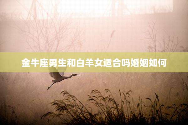 金牛座男生和白羊女适合吗婚姻如何