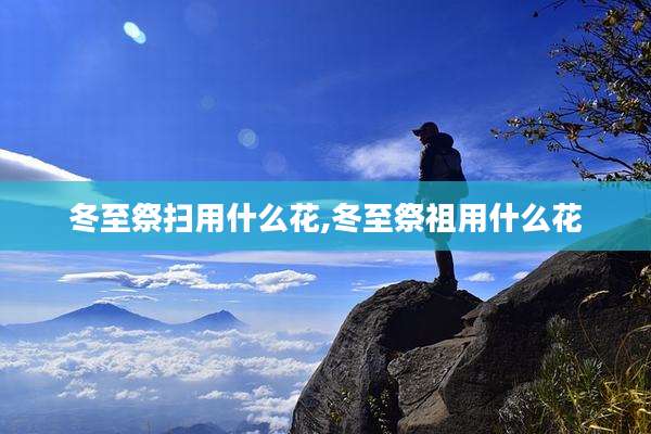 冬至祭扫用什么花,冬至祭祖用什么花