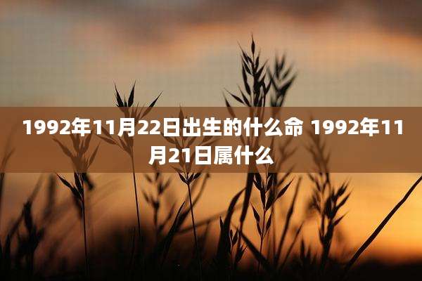 1992年11月22日出生的什么命 1992年11月21日属什么