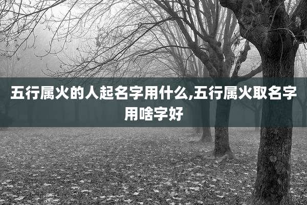五行属火的人起名字用什么,五行属火取名字用啥字好