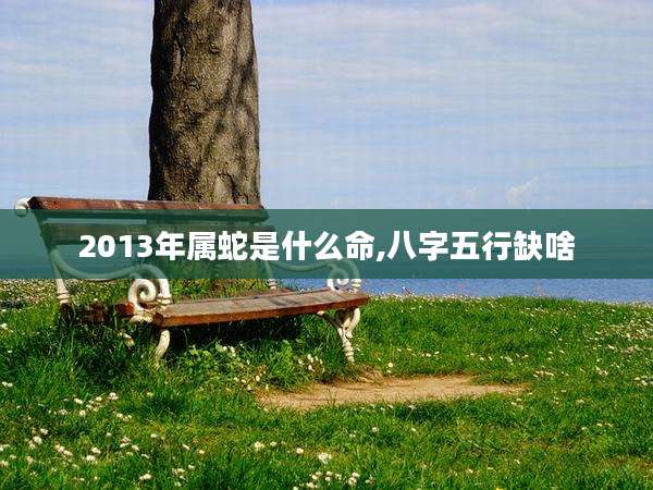 2013年属蛇是什么命,八字五行缺啥