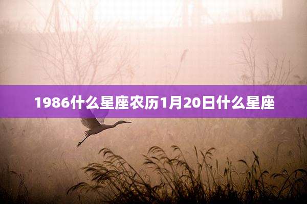 1986什么星座农历1月20日什么星座