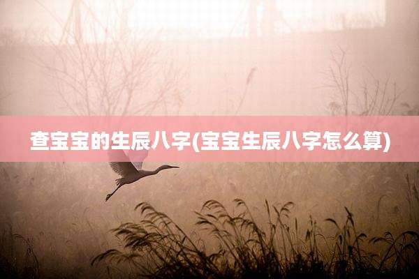 查宝宝的生辰八字(宝宝生辰八字怎么算)