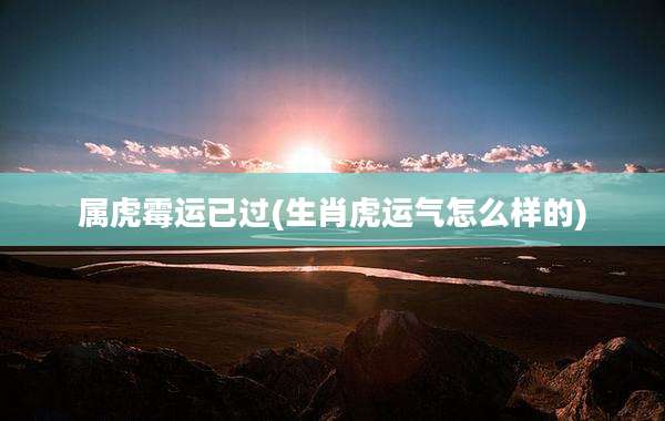 属虎霉运已过(生肖虎运气怎么样的)