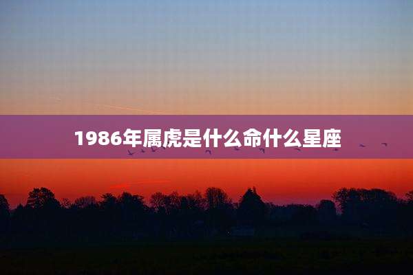 1986年属虎是什么命什么星座