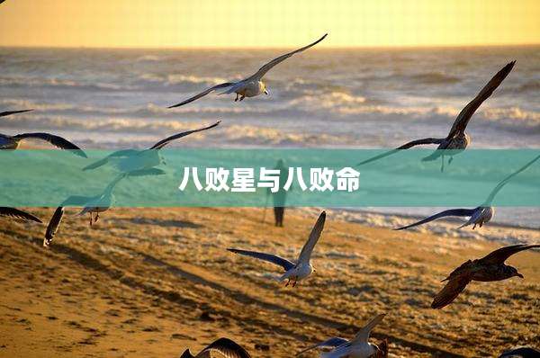 八败星与八败命