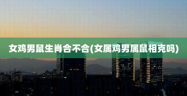 女鸡男鼠生肖合不合(女属鸡男属鼠相克吗)