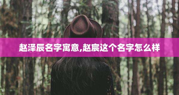 赵泽辰名字寓意,赵宸这个名字怎么样