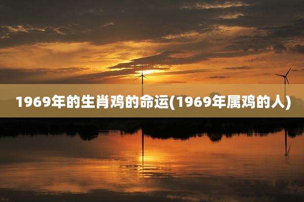 1969年的生肖鸡的命运(1969年属鸡的人)