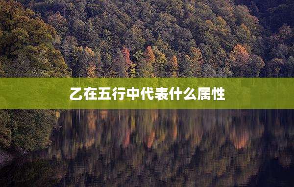 乙在五行中代表什么属性