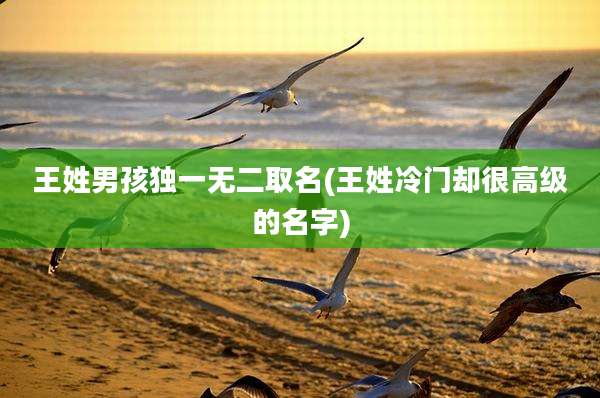 王姓男孩独一无二取名(王姓冷门却很高级的名字)