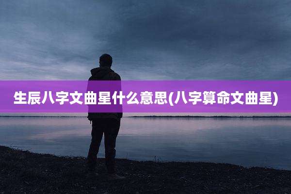 生辰八字文曲星什么意思(八字算命文曲星)