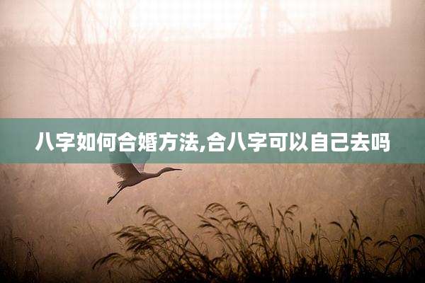 八字如何合婚方法,合八字可以自己去吗