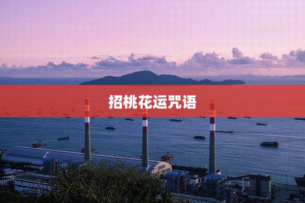 招桃花运咒语