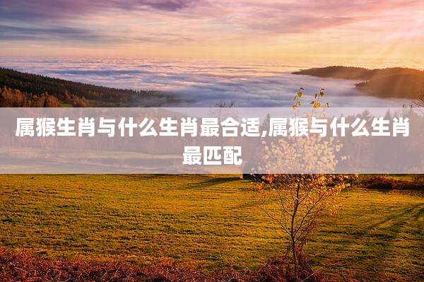 属猴生肖与什么生肖最合适,属猴与什么生肖最匹配