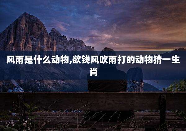 风雨是什么动物,欲钱风吹雨打的动物猜一生肖