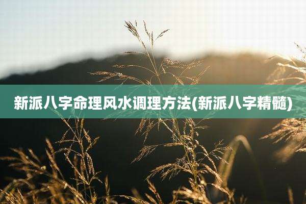 新派八字命理风水调理方法(新派八字精髓)