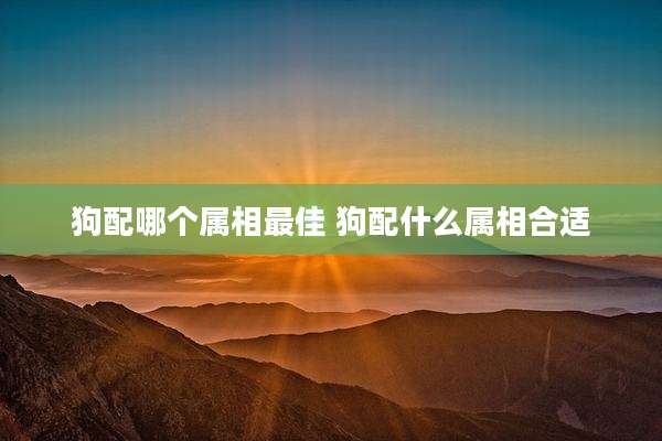 狗配哪个属相最佳 狗配什么属相合适