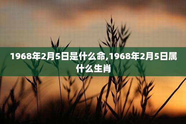 1968年2月5日是什么命,1968年2月5日属什么生肖