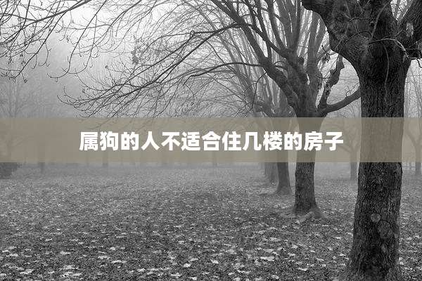 属狗的人不适合住几楼的房子