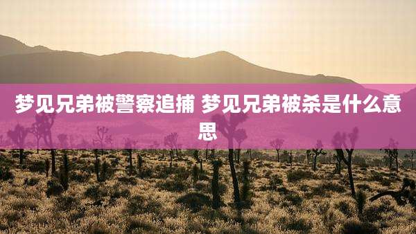 梦见兄弟被警察追捕 梦见兄弟被杀是什么意思