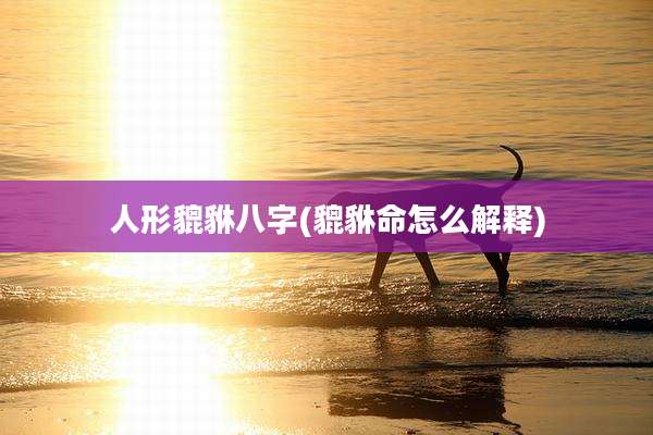 人形貔貅八字(貔貅命怎么解释)