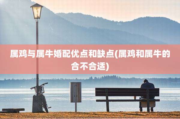 属鸡与属牛婚配优点和缺点(属鸡和属牛的合不合适)