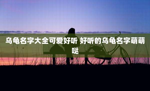 乌龟名字大全可爱好听 好听的乌龟名字萌萌哒
