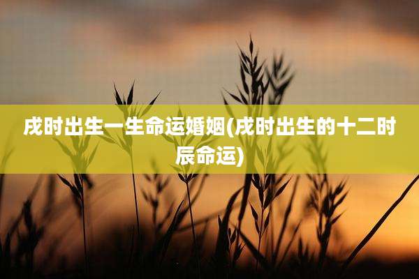 戌时出生一生命运婚姻(戌时出生的十二时辰命运)