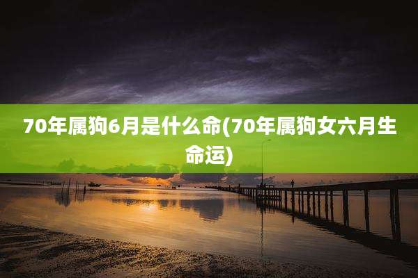 70年属狗6月是什么命(70年属狗女六月生命运)