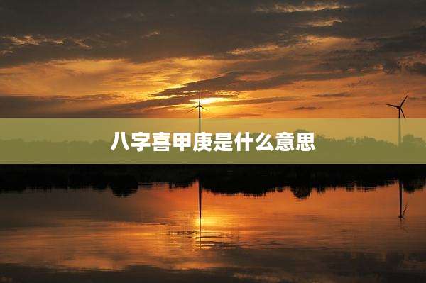 八字喜甲庚是什么意思