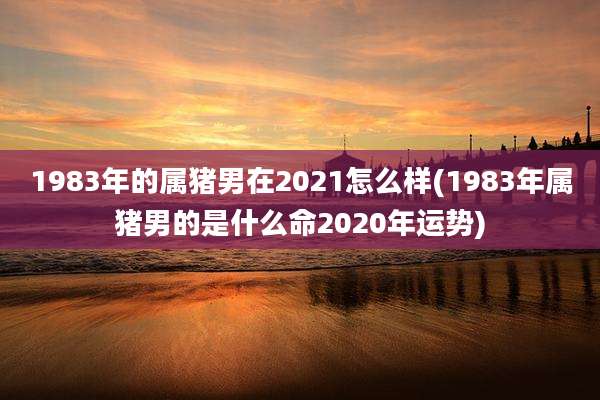 1983年的属猪男在2021怎么样(1983年属猪男的是什么命2020年运势)