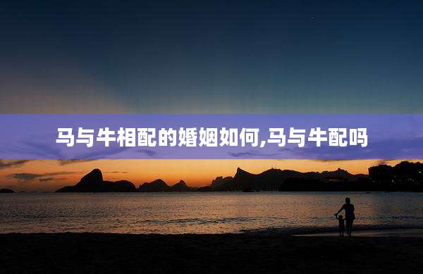 马与牛相配的婚姻如何,马与牛配吗