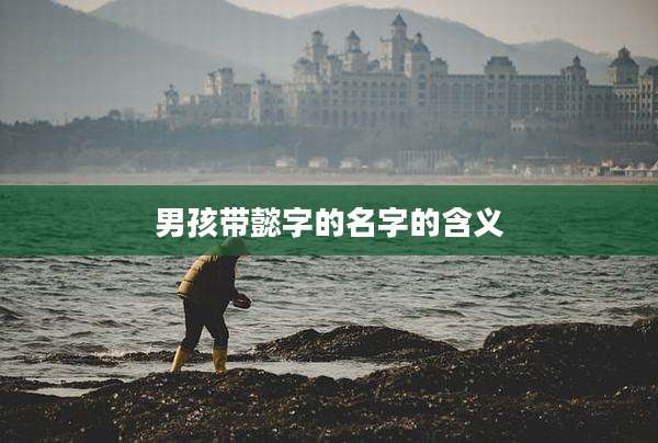 男孩带懿字的名字的含义