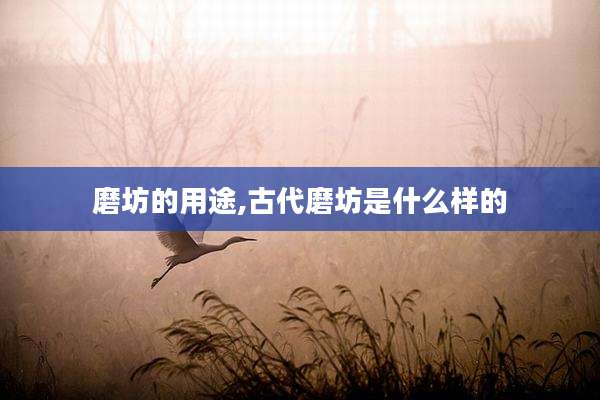 磨坊的用途,古代磨坊是什么样的