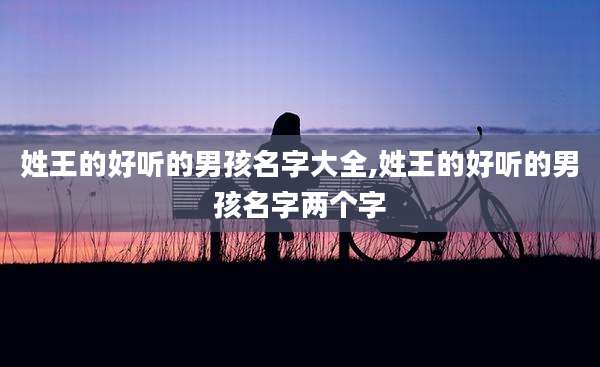 姓王的好听的男孩名字大全,姓王的好听的男孩名字两个字