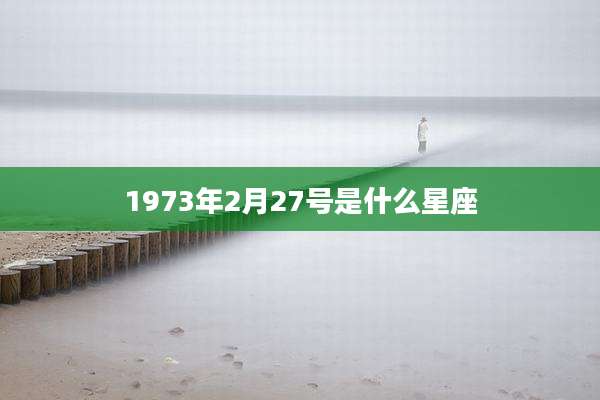 1973年2月27号是什么星座
