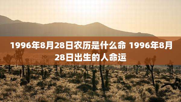 1996年8月28日农历是什么命 1996年8月28日出生的人命运