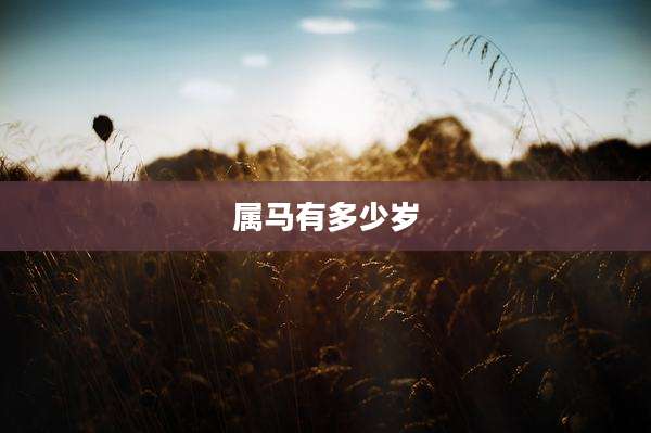 属马有多少岁
