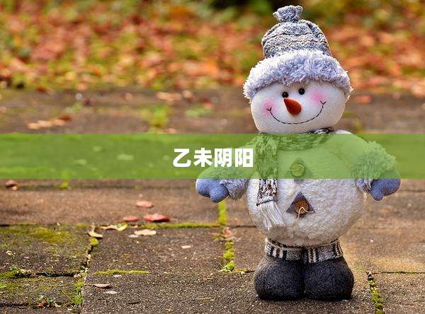 乙未阴阳