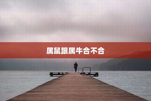 属鼠跟属牛合不合