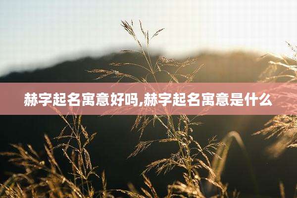 赫字起名寓意好吗,赫字起名寓意是什么