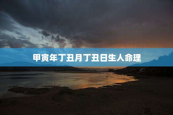 甲寅年丁丑月丁丑日生人命理