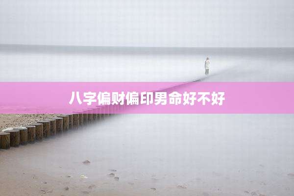 八字偏财偏印男命好不好