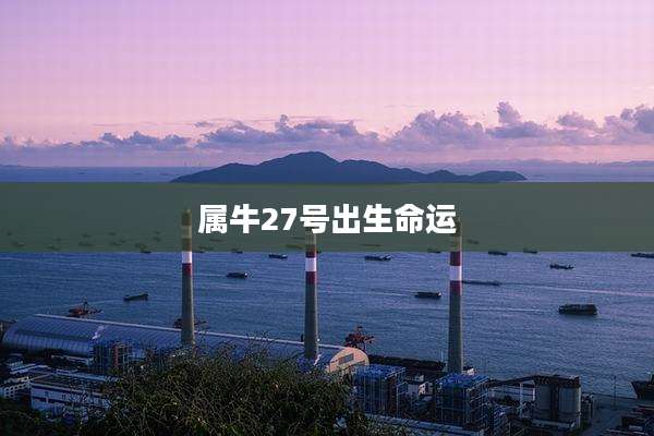 属牛27号出生命运