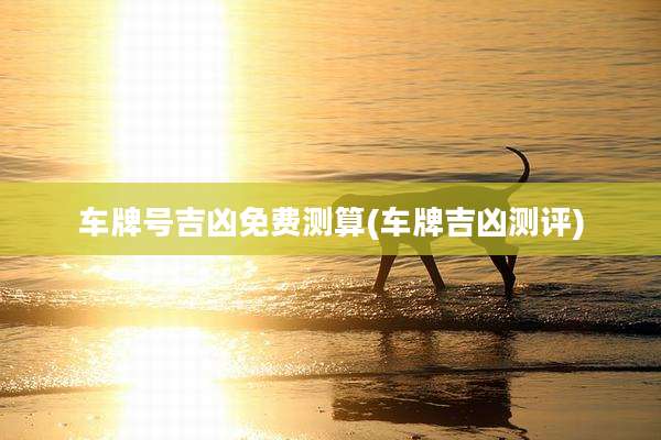 车牌号吉凶免费测算(车牌吉凶测评)