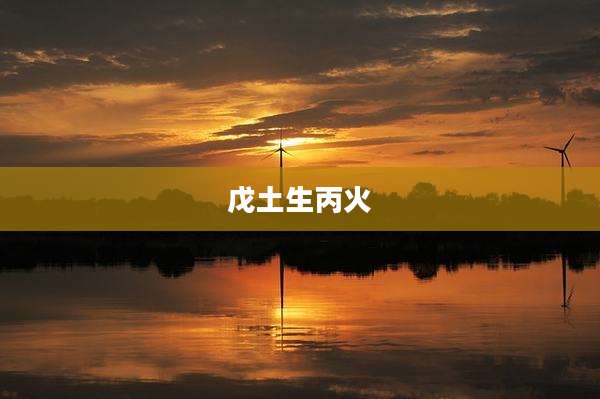 戊土生丙火