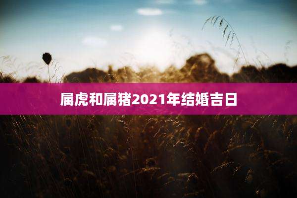 属虎和属猪2021年结婚吉日